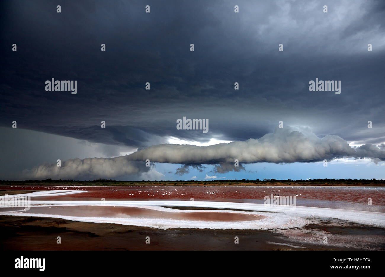 Beschädigen, Gewitter bilden der Salzsee in der Nähe von Mildura, Victoria, Australien Stockfoto