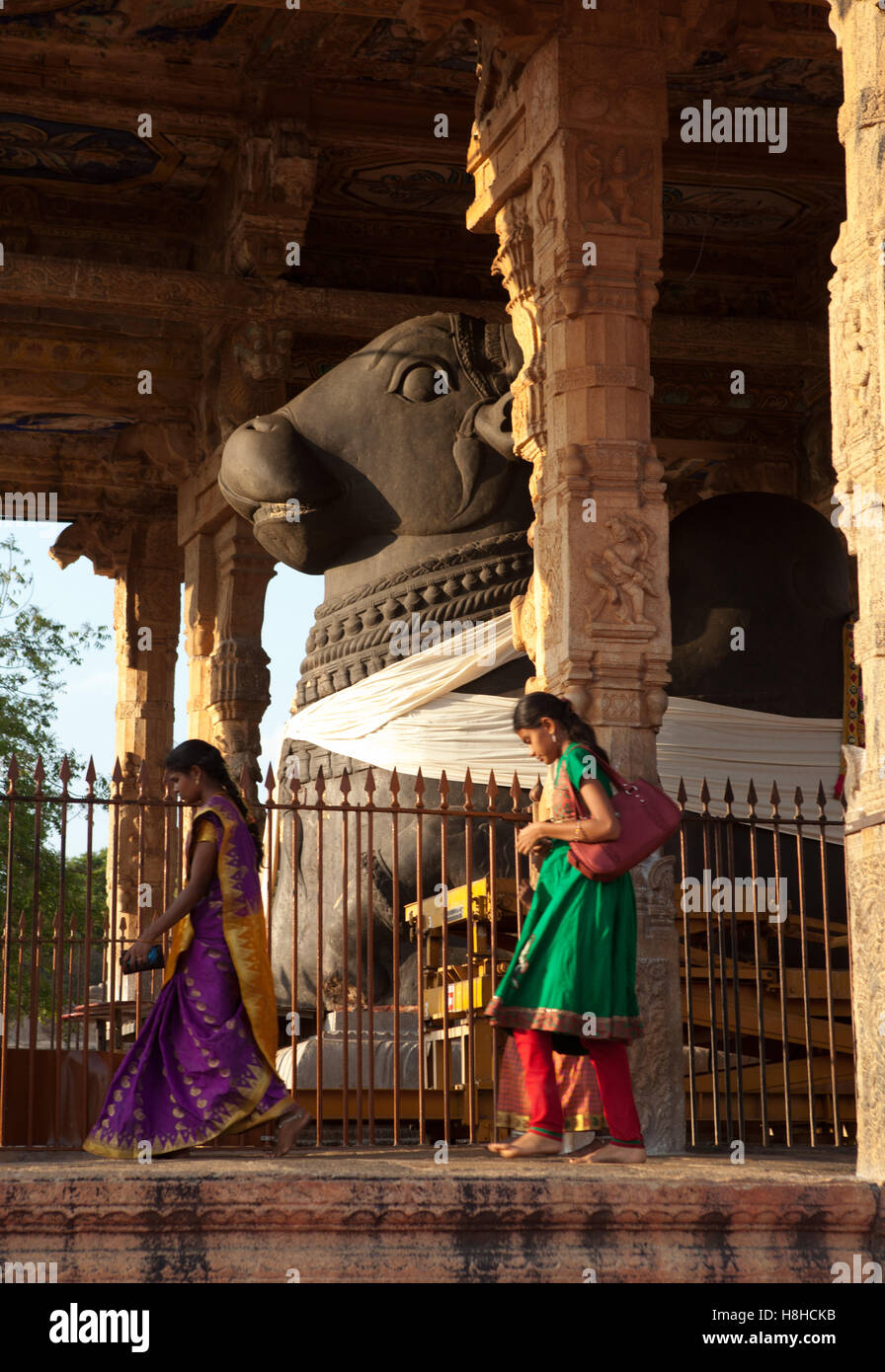 Pilger im Brihadeeswarar-Tempel in Thanjavur, Tamil Nadu, Indien. Stockfoto