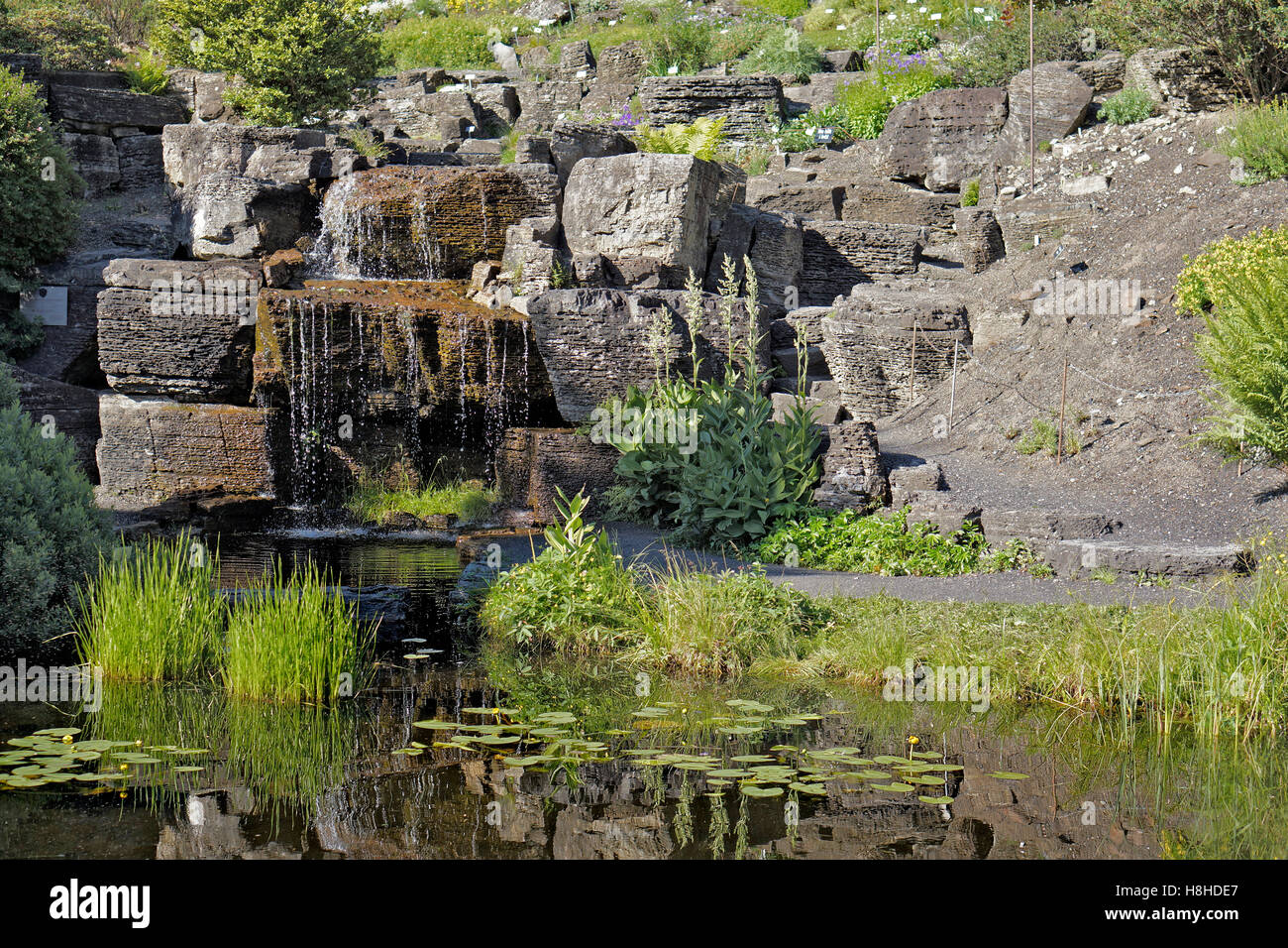 Wasserfall in einem öffentlichen botanischen Garten, Norwegen. Stockfoto