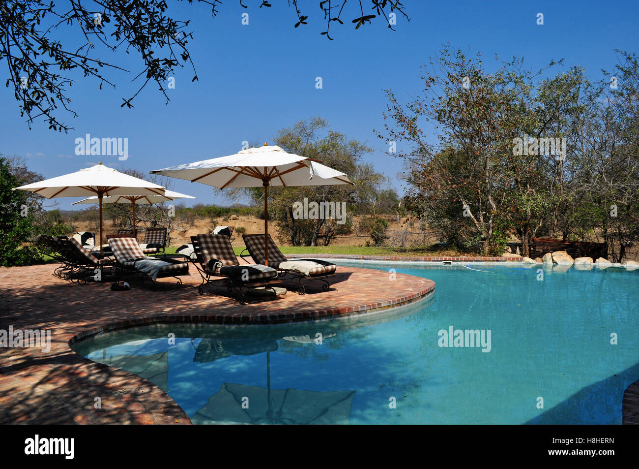Safari in Südafrika: der Pool am Ngala Private Game Reserve, ein Luxus Safari im berühmten Kruger National Park Lodge Stockfoto