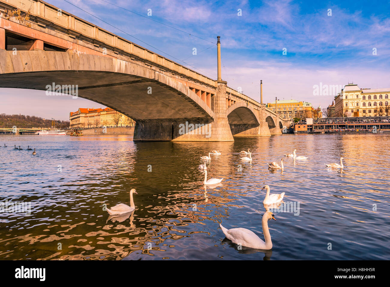 Brücke über den Fluss und weiße Schwäne Stockfoto