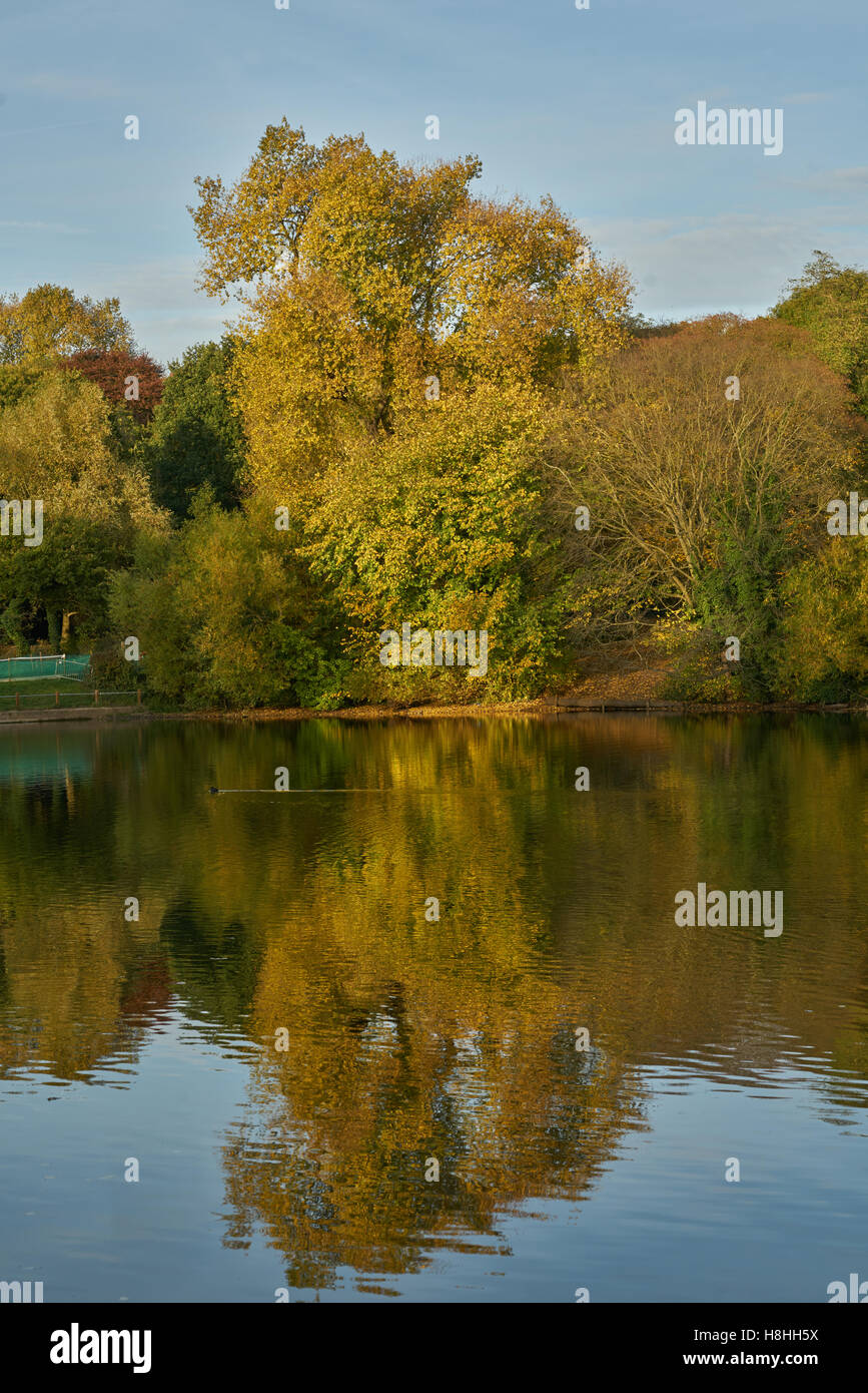 Hampstead Teiche, Herbst Stockfoto