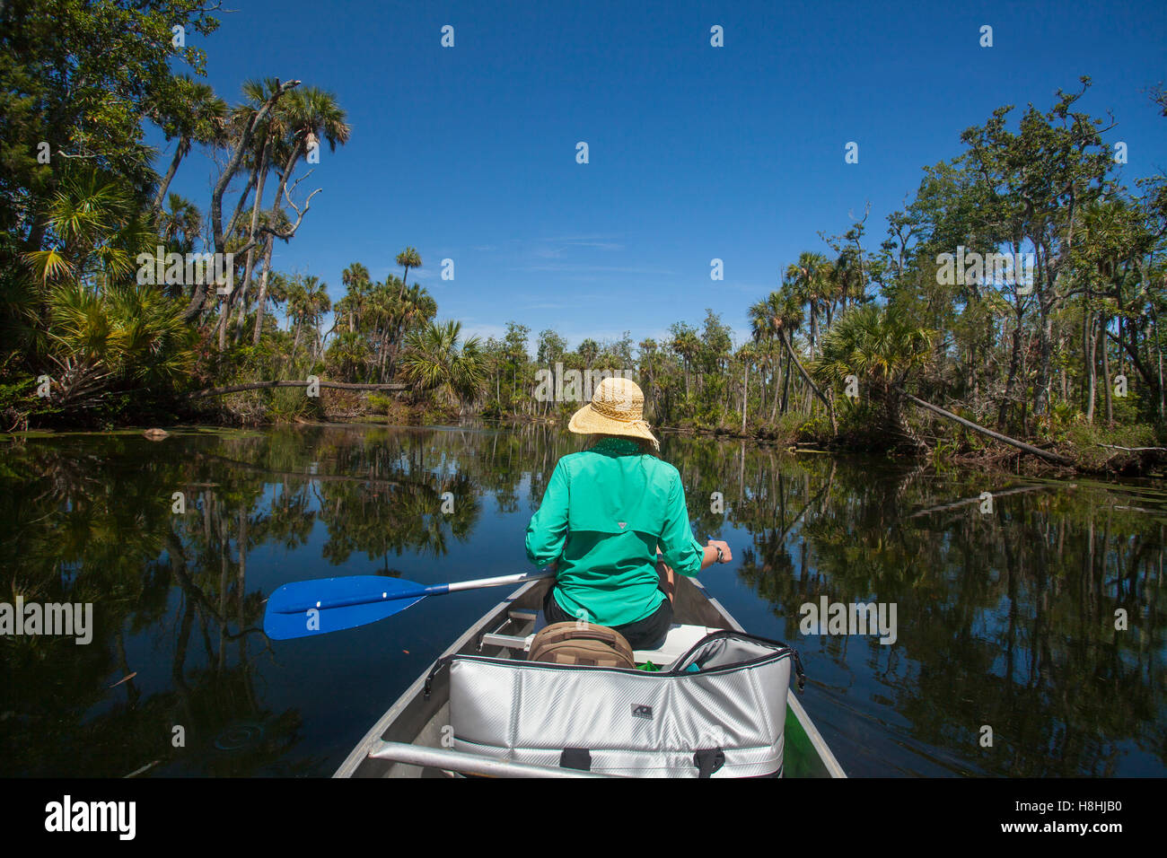 Kanufahren, Chassahowitzka National Wildlife Refuge, Florida, USA. Model-Release zur Verfügung. Stockfoto