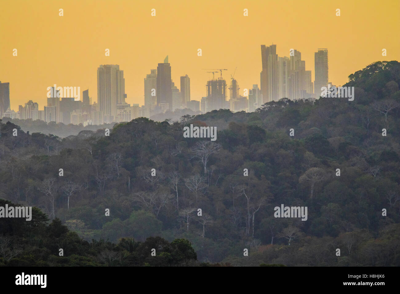 Regenwald und PANAMA-Stadt bei Sonnenaufgang, Soberiana Nationalpark, Panama. Stockfoto