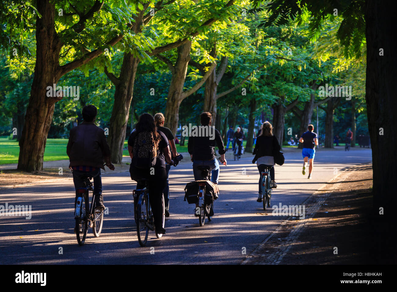 Radfahren im Vondelpark, Amsterdam Stockfoto