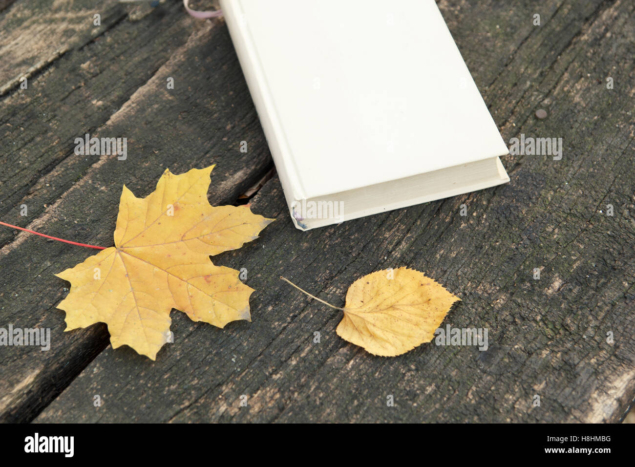 Leere Buchcover mit Herbstlaub auf hölzernen Hintergrund Stockfoto