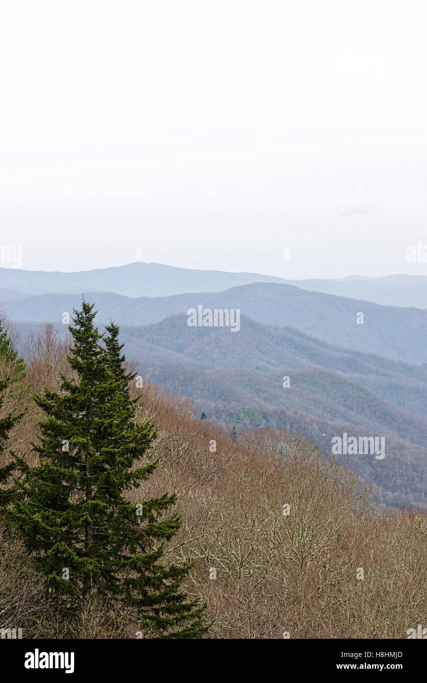 Blick über den Great Smoky Mountains in Tennessee, USA. Stockfoto