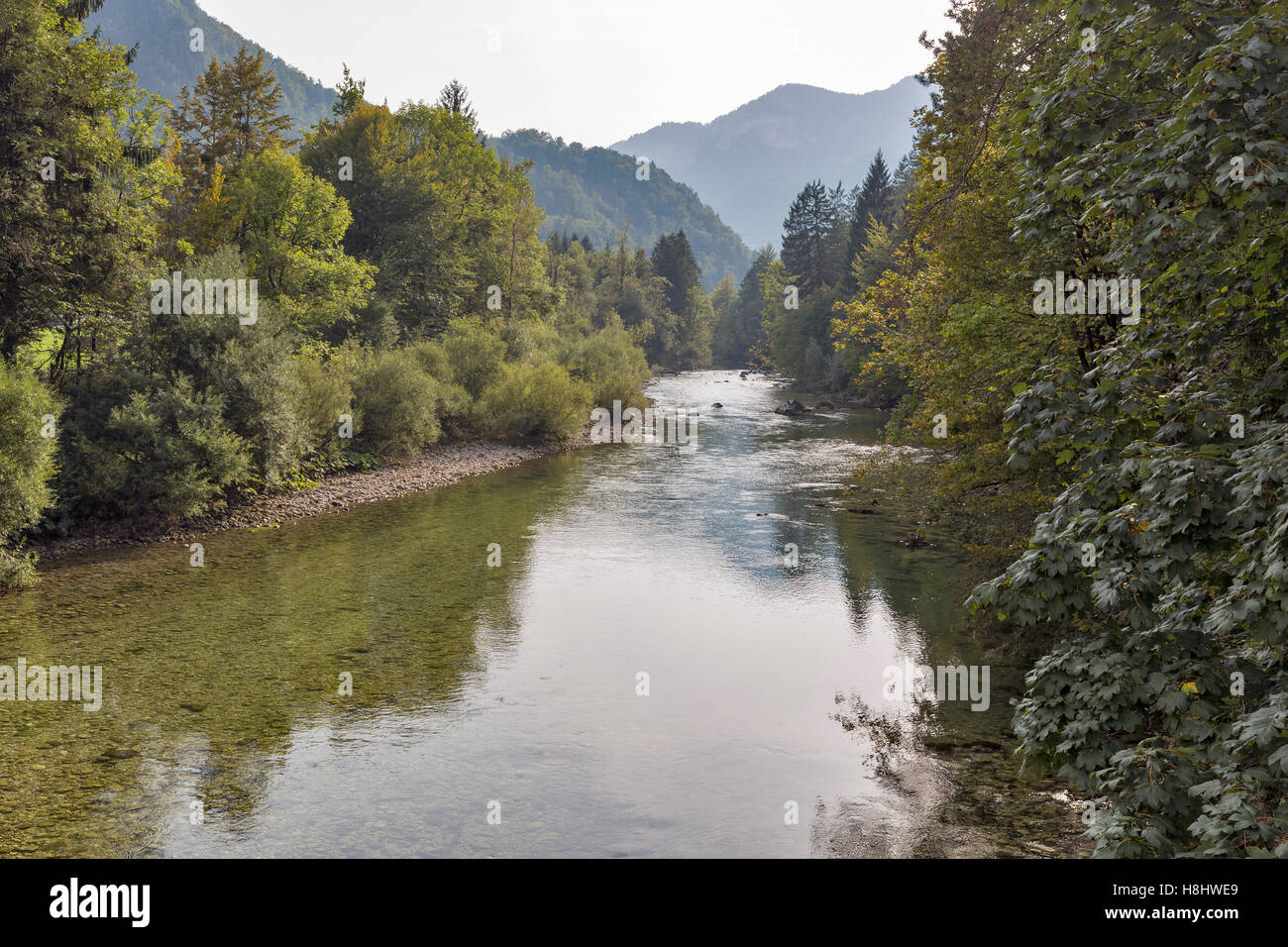 Sava Bohinjka Fluss mit sauberem Wasser in Bled, Julischen Alpen, Slowenien Stockfoto