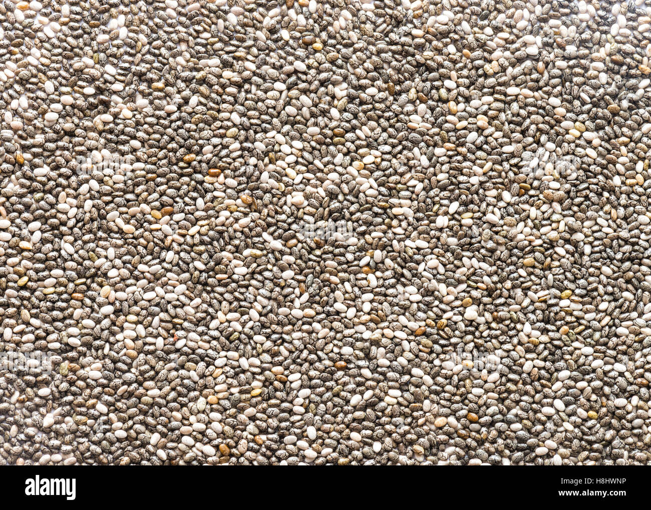 Chia-Samen Nahaufnahme füllen der Rahmen, ideal für Lebensmittel Hintergrund oder Texturen Stockfoto