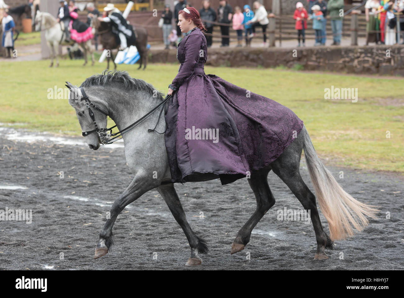 Graues Pferd mit Reiter in lila Kleid, barocke Pferdefest Stockfoto