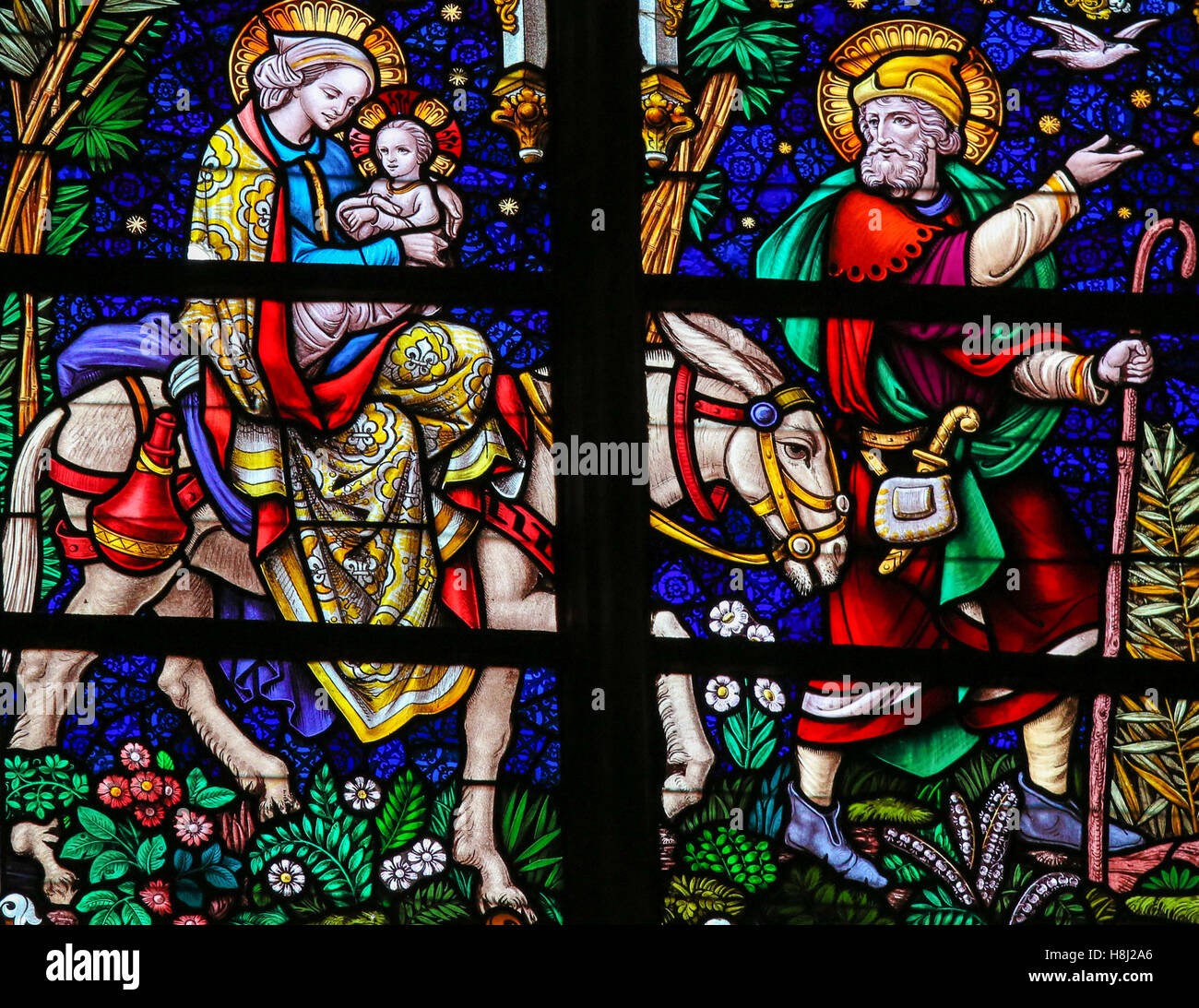 Weihnachts esel -Fotos und -Bildmaterial in hoher Auflösung – Alamy