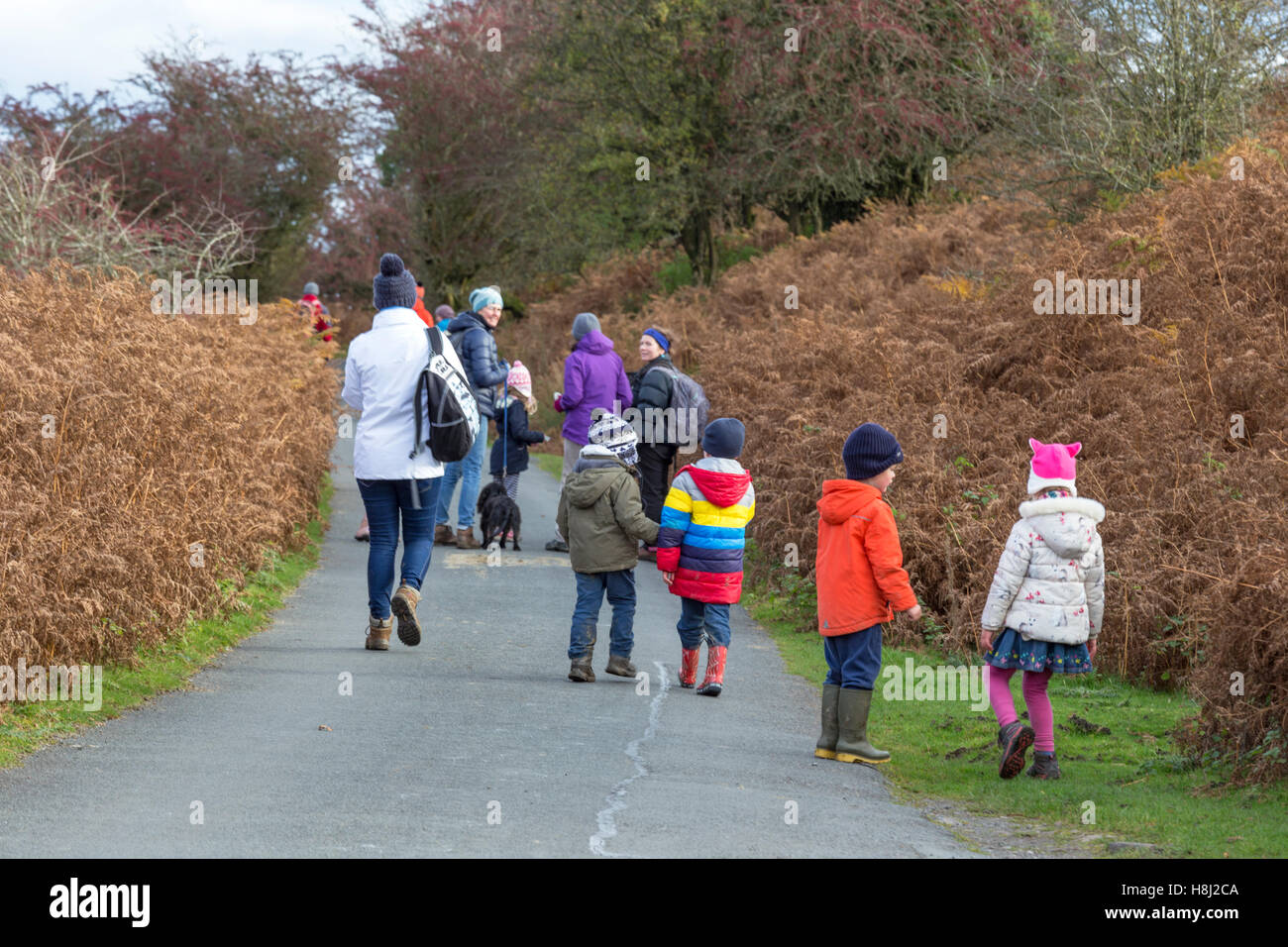 Eine herbstliche Familienwanderung in Brecon-Beacons-Nationalpark, Mid Wales, Großbritannien Stockfoto