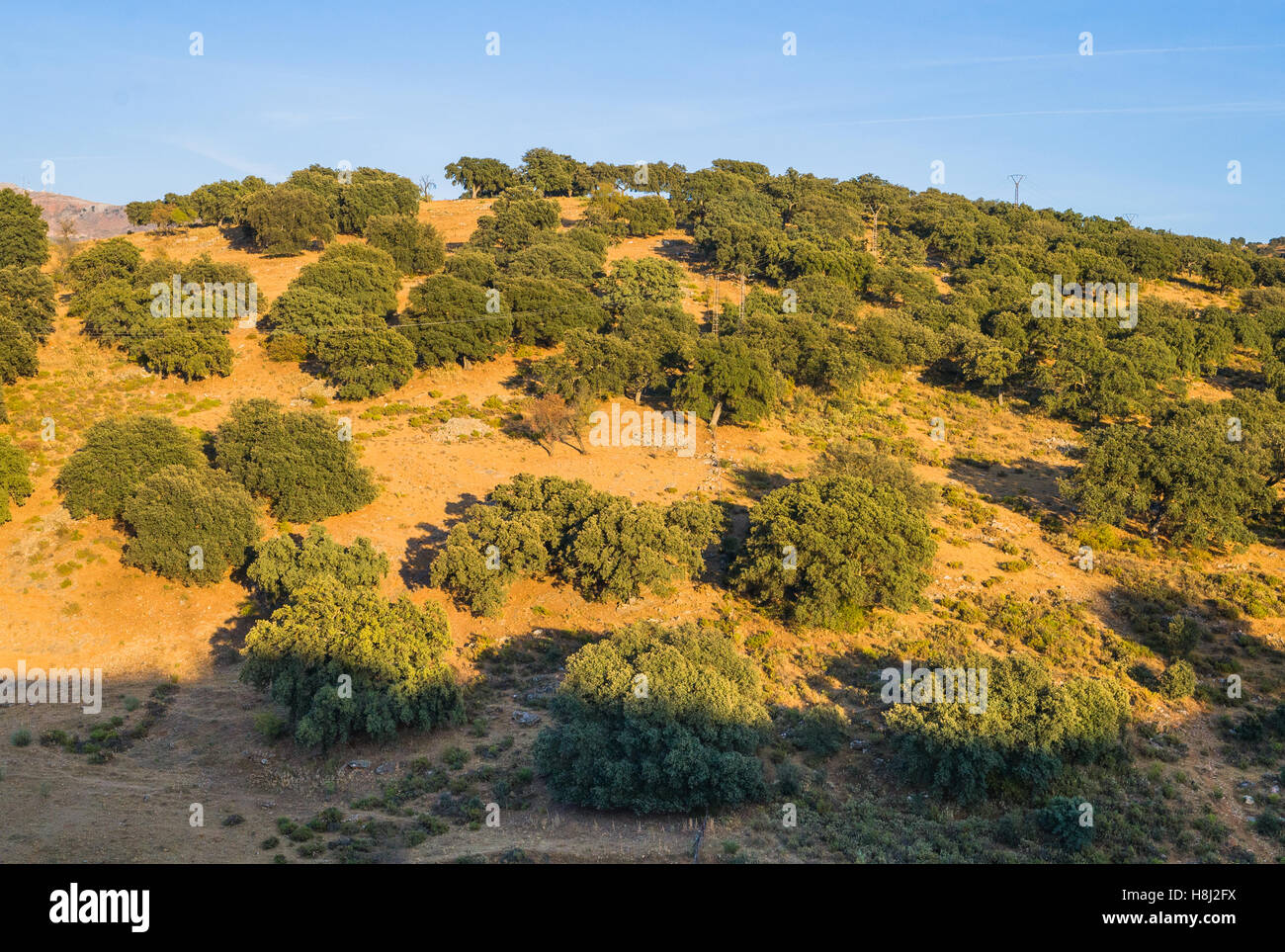 Andalusien Stockfoto
