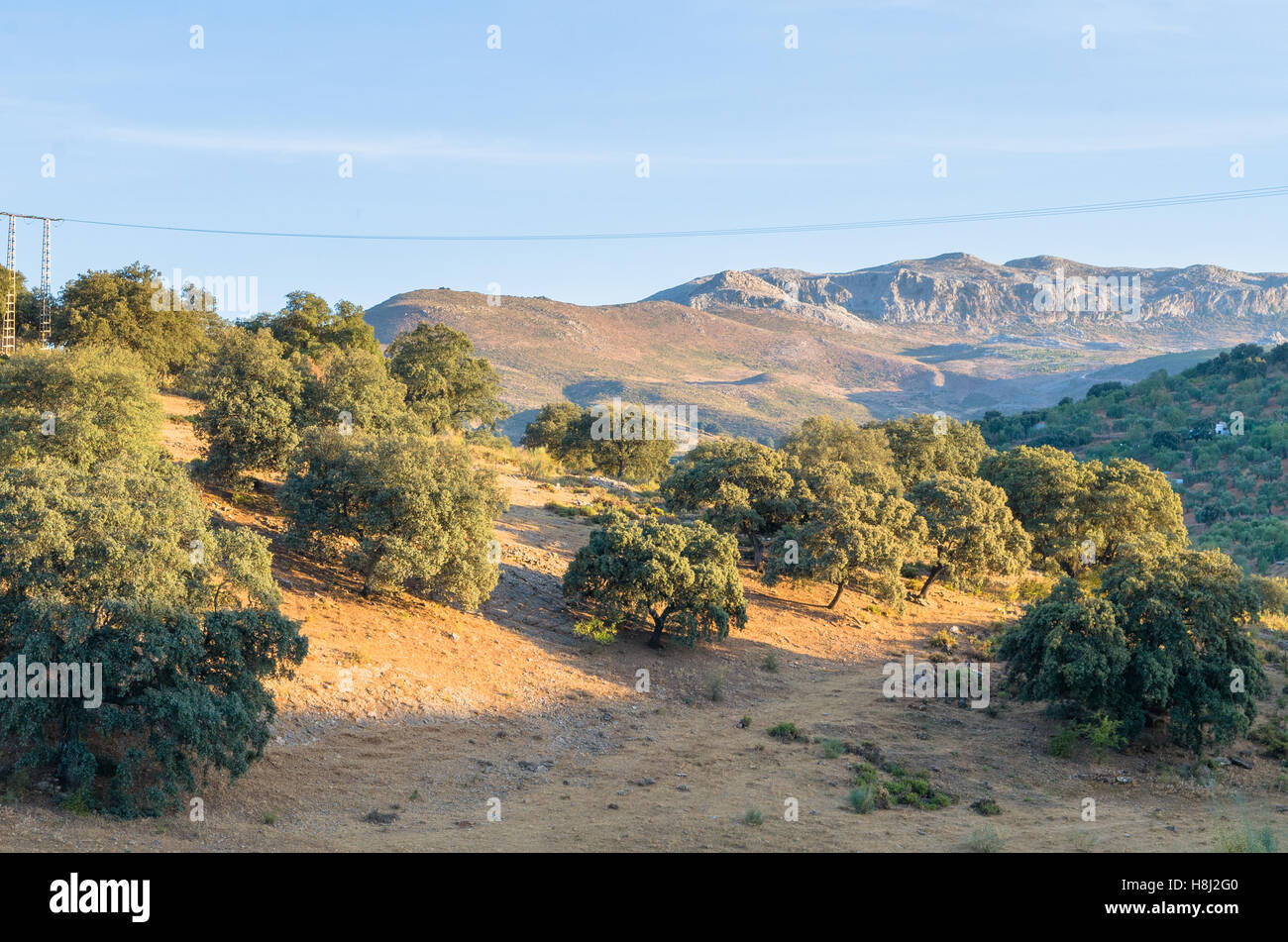 Andalusien Stockfoto