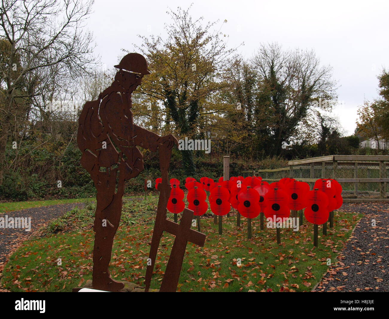 Weltkrieg Somme Erinnerung Mohn Tag Stockfoto