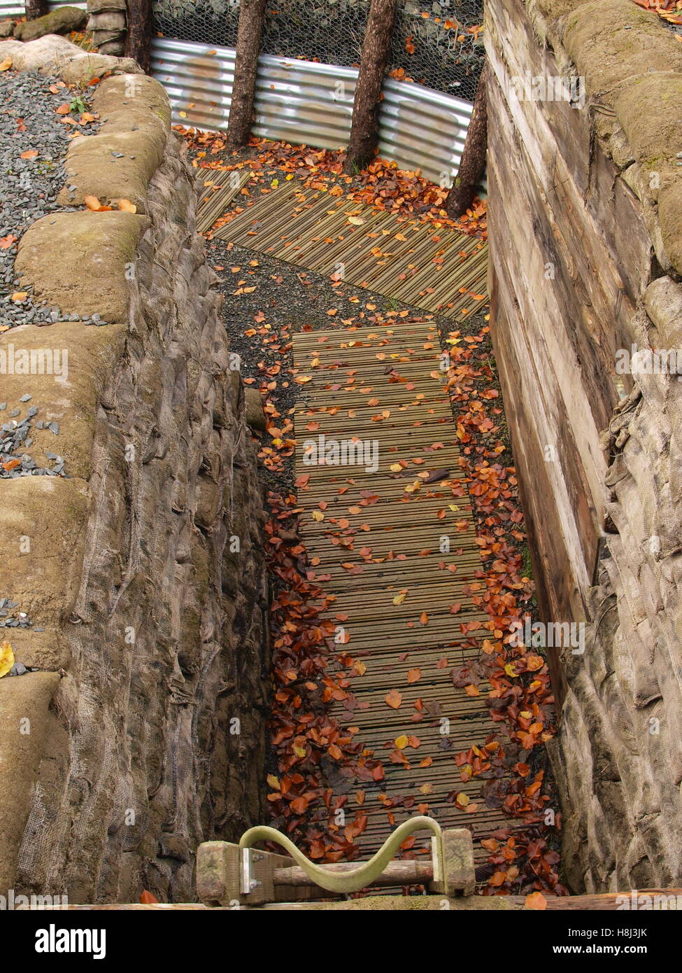 Weltkrieg Somme Erinnerung Mohn Tag Stockfoto