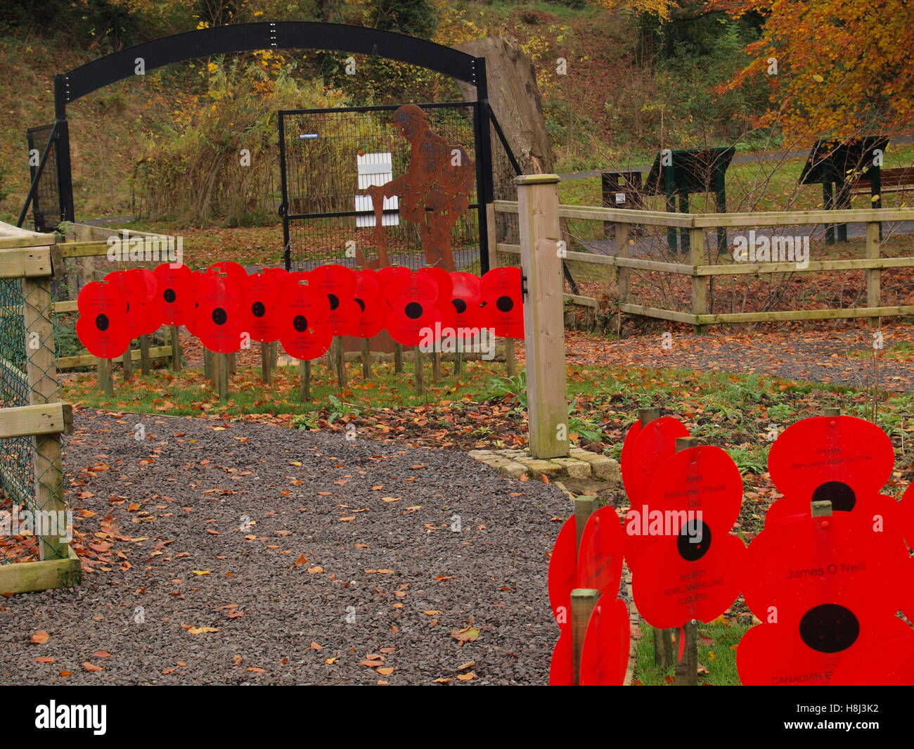 Weltkrieg Somme Erinnerung Mohn Tag Stockfoto