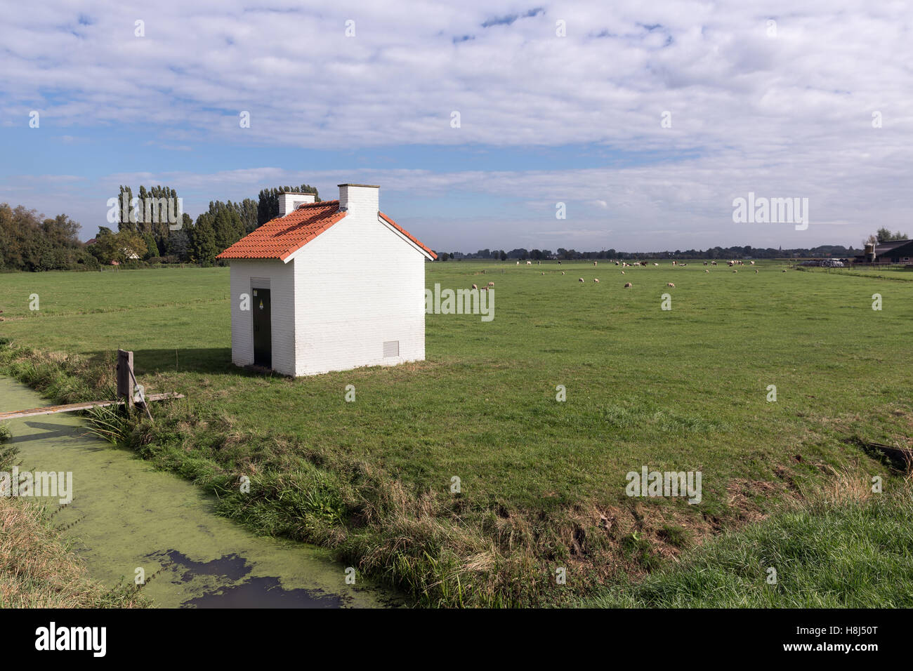 Kleines Haus mit Strom Anlagen in der niederländischen Landschaft Stockfoto