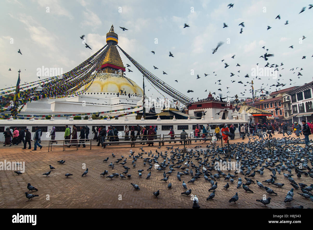 Boudhanath Stupa in der früh Stockfoto