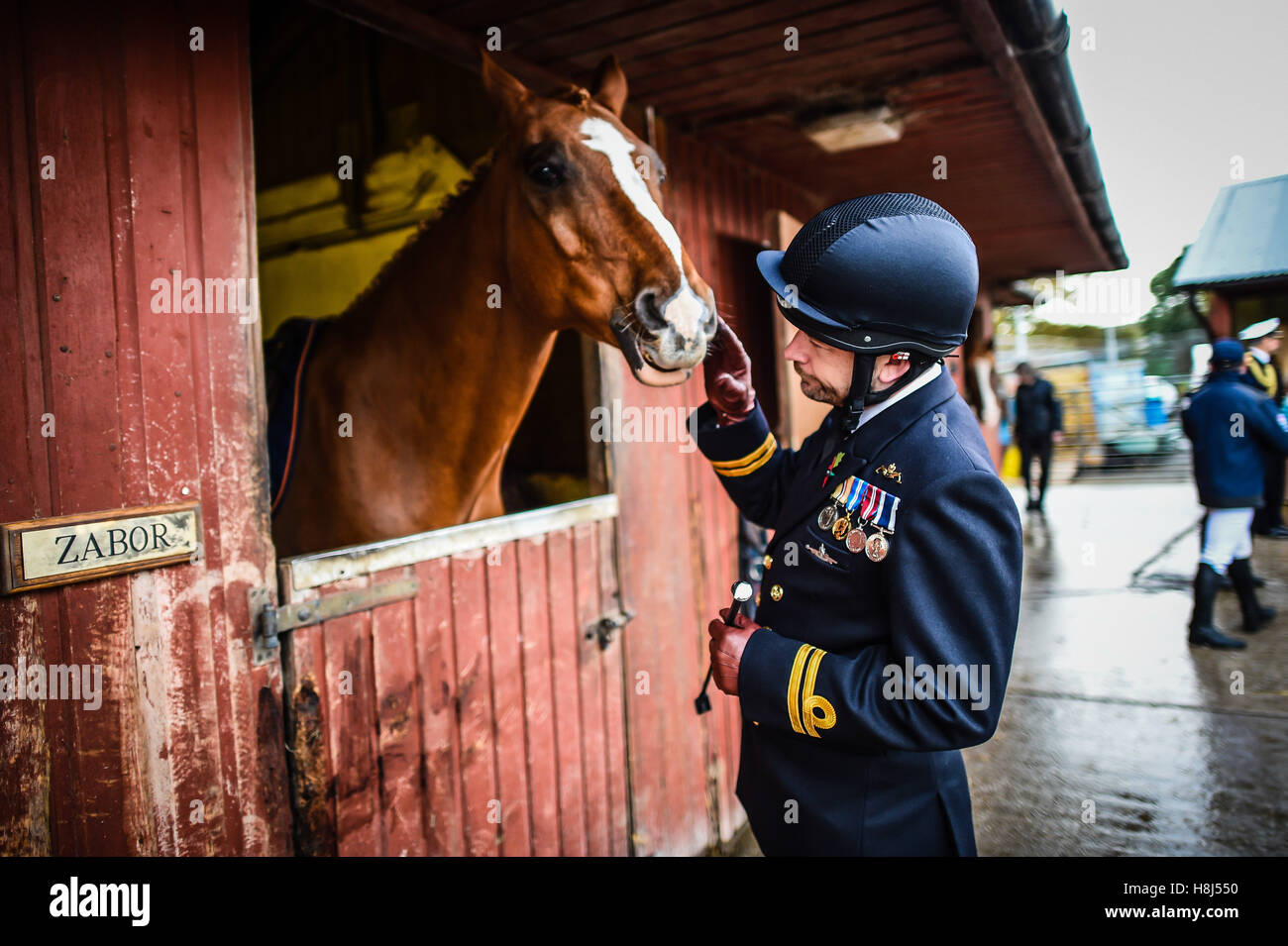 Königliche Marine Offizier Lieutenant Gary Smith Striche Zabor bei der Royal Navy und Royal Marines Reitstall an den Bickleigh Kasernen, Plymouth, vor die erste Trauerfeier Pferde gewidmet getötet oder verletzt in Konflikt. Stockfoto