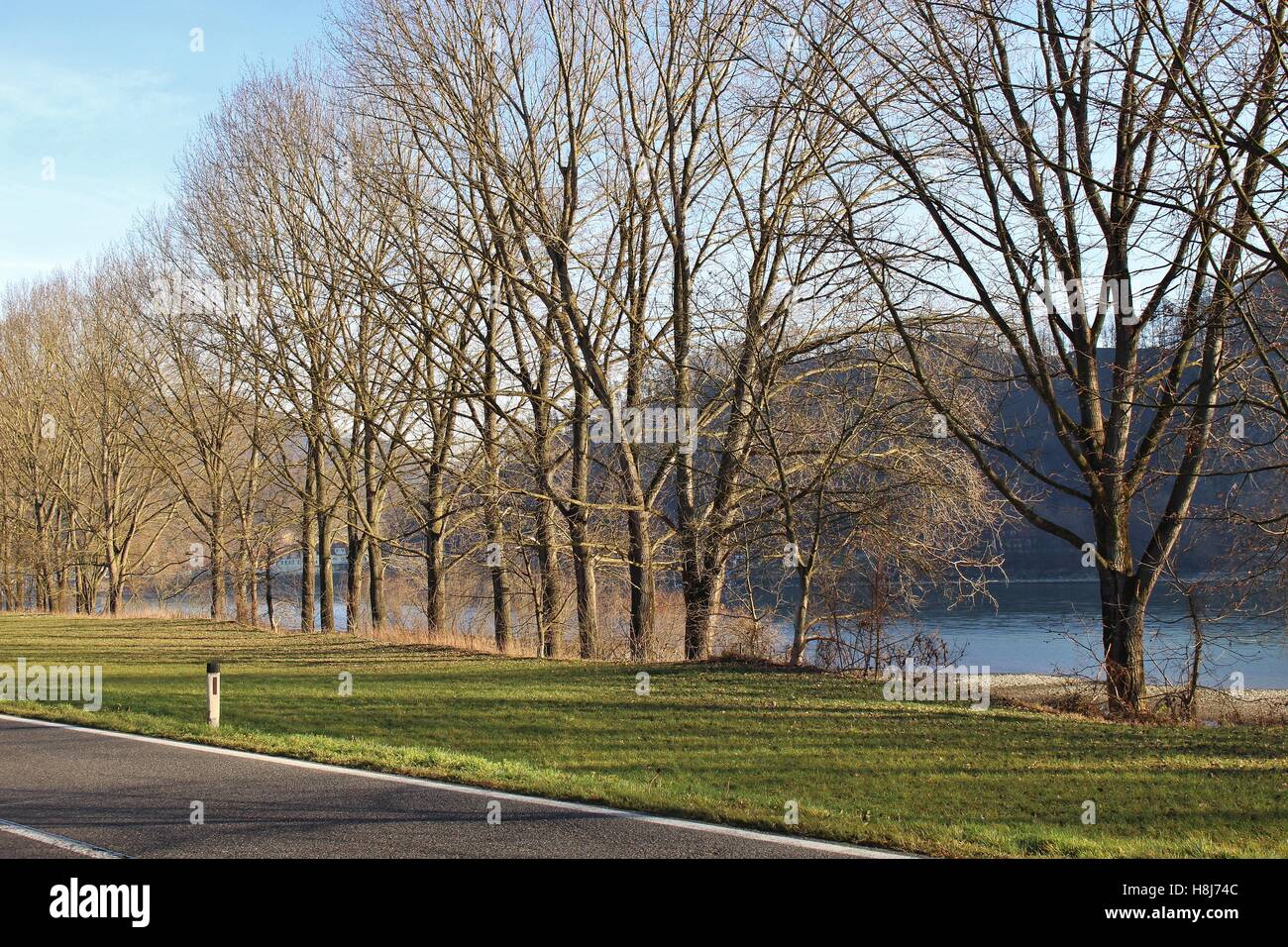 Kahle Bäume im Winter. Am Ufer der Donau, in der Region Wachau, Österreich, Europa. Stockfoto