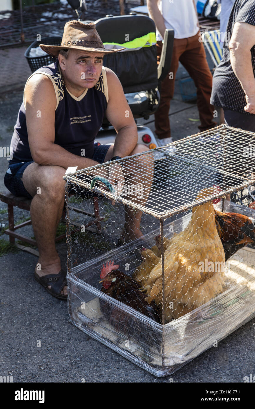Hajdunanas, lokalen Markt, Markt Tiere, Verkauf von Geflügel Stockfoto