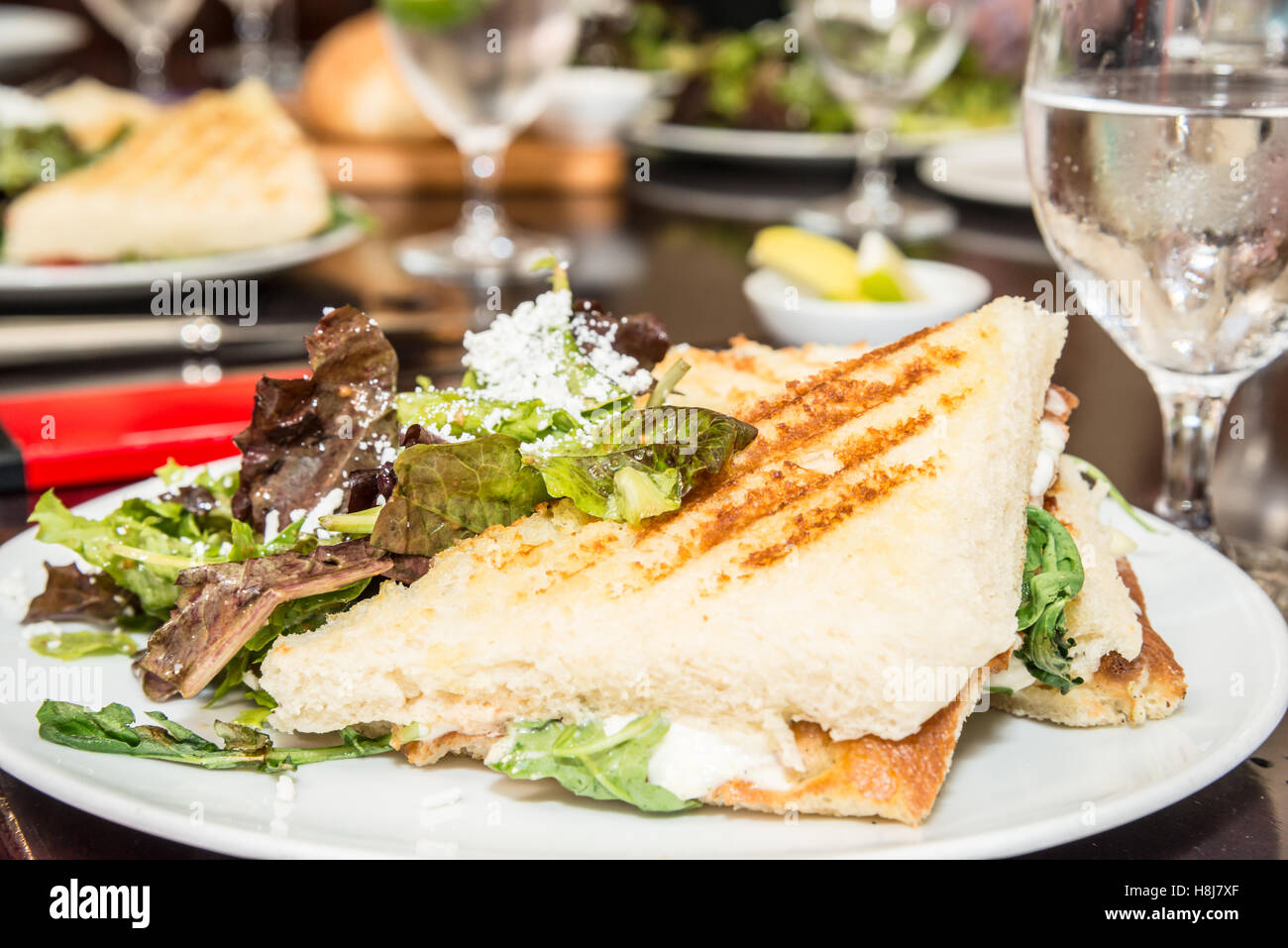 Gourmet-elegante gegrillter Käse Stockfoto