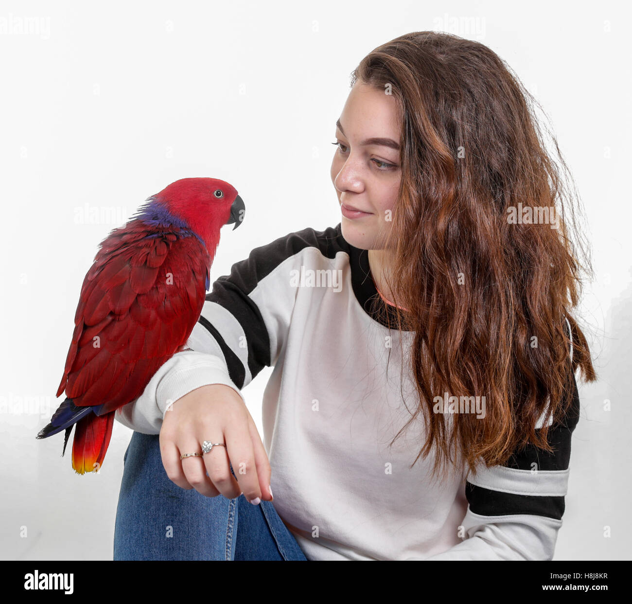 Hübsche Caucsian Teenager-Mädchen mit einem hübschen roten Papagei auf dem arm Stockfoto