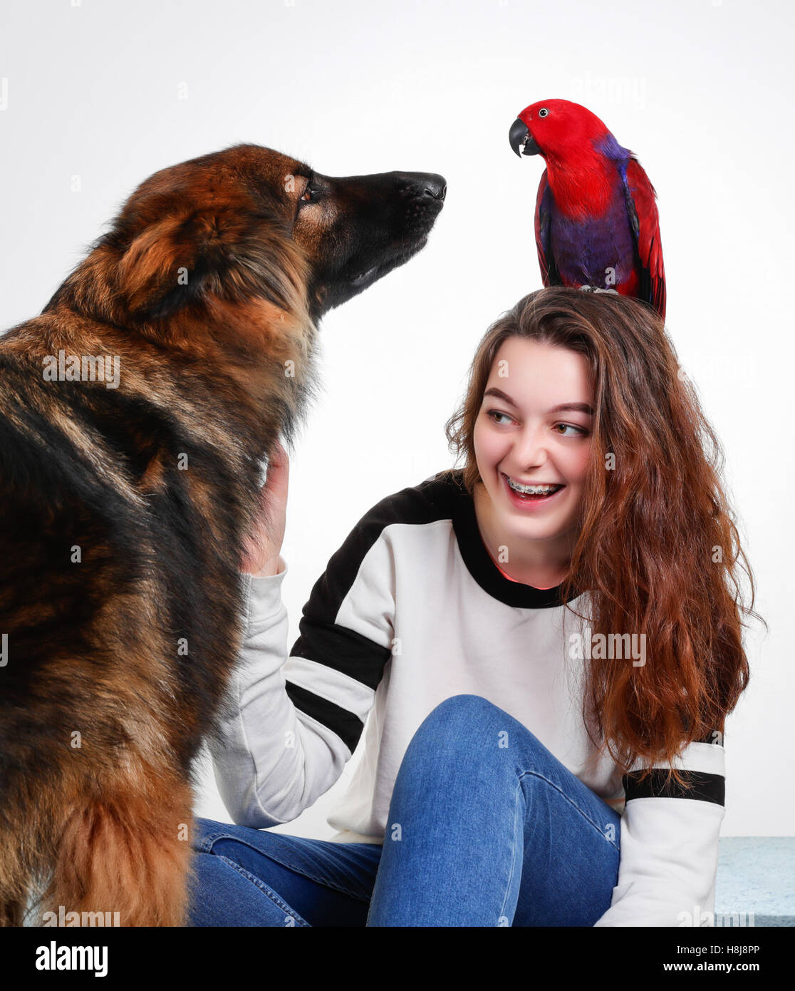 Teenager-Mädchen mit einem roten Papagei auf ihren Kopf und ein großer Hund schnüffeln des Papageis Stockfoto