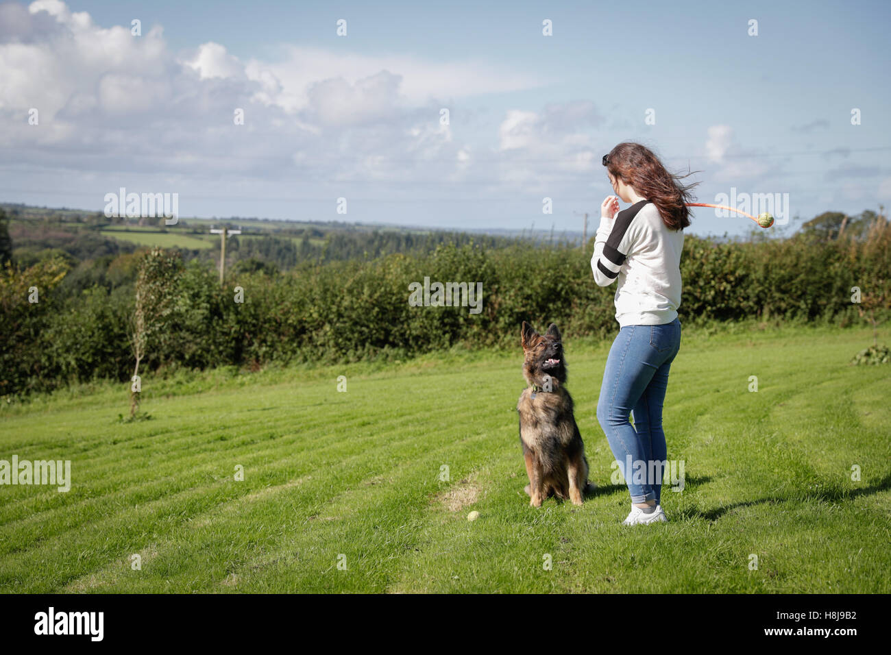Gehorsamer Hund sitzt geduldig wartet auf seinen Besitzer durch seinen ball Stockfoto