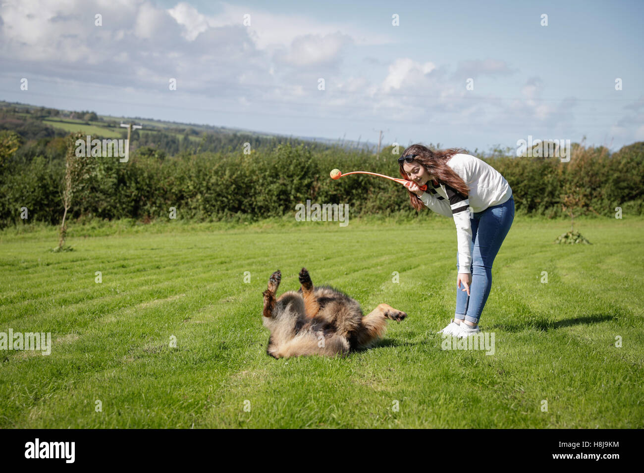 Hund führt eine Rolle über Trick zu seinem Besitzer, den Ball zu werfen Stockfoto