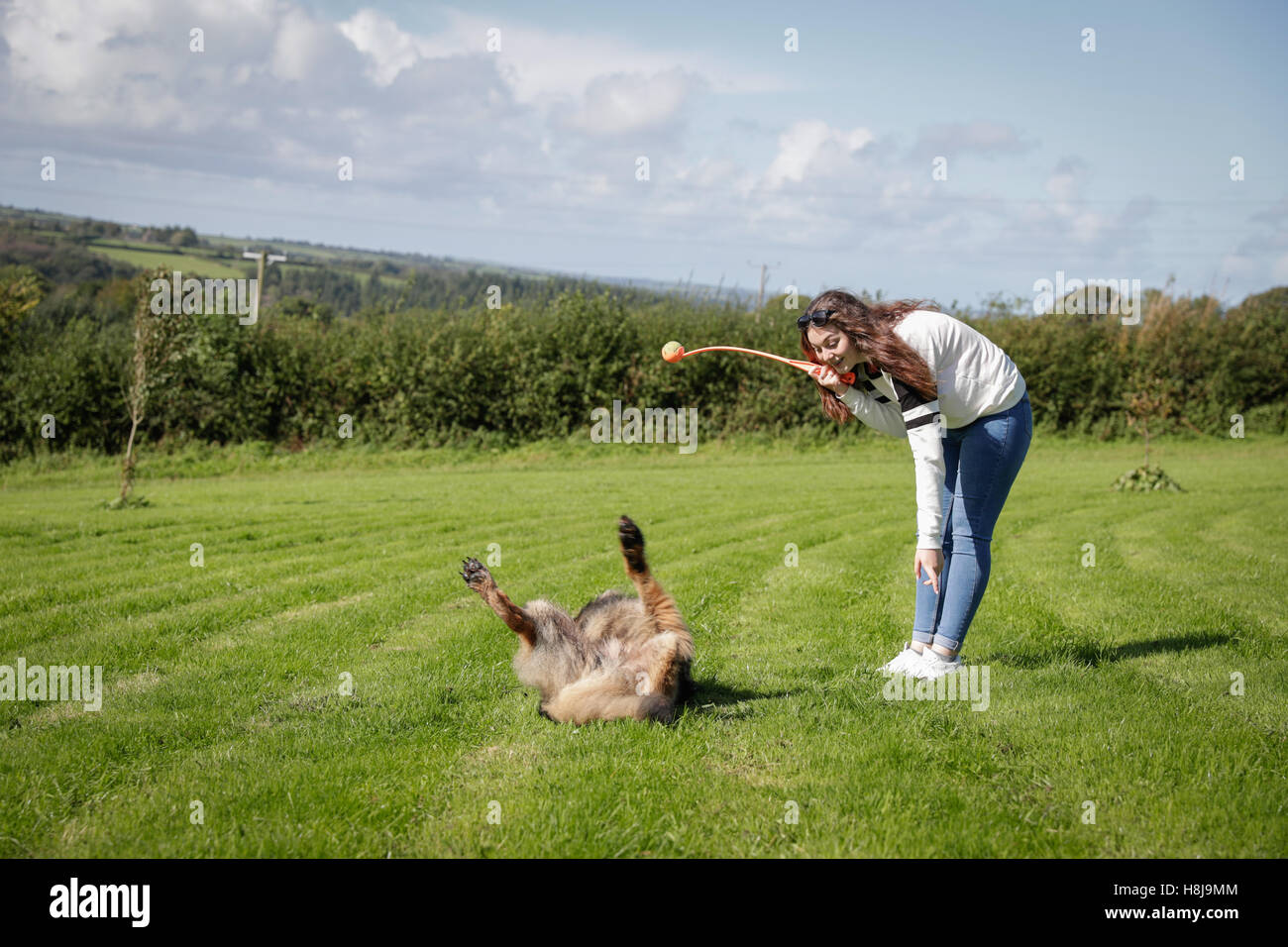 Hund führt eine Rolle über Trick zu seinem Besitzer, den Ball zu werfen Stockfoto