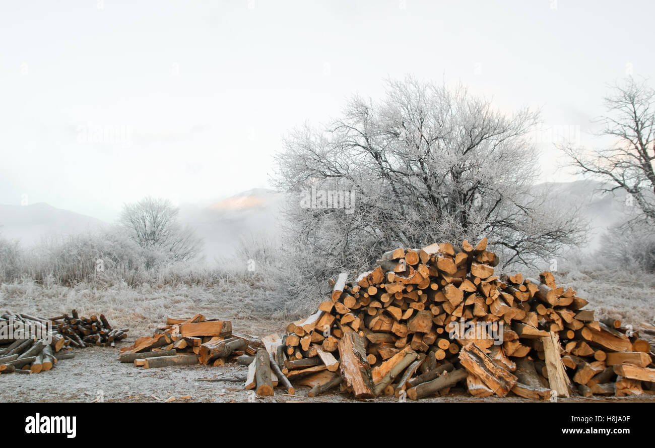 Winterlandschaft mit Nebel und Holzblock Stockfoto