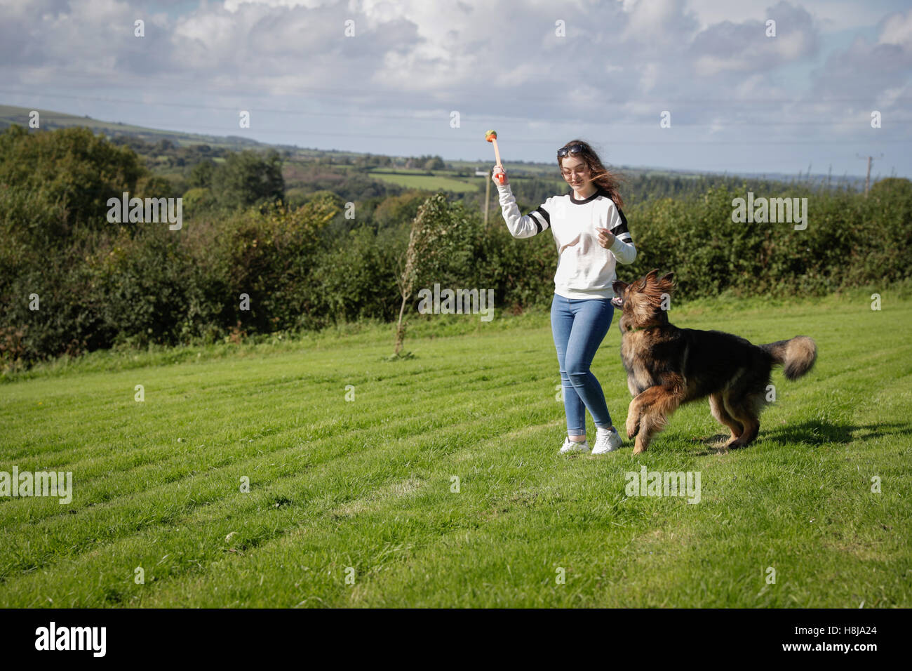 Junge Frau wirft einen Ball für ihren Hund einen deutschen Schäferhund. Stockfoto