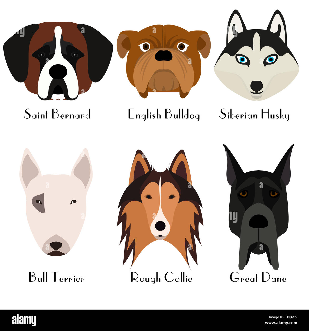 Satz von 6 Hundekopf. Flaches Design. Haustiere. Süße Hunde. Hund