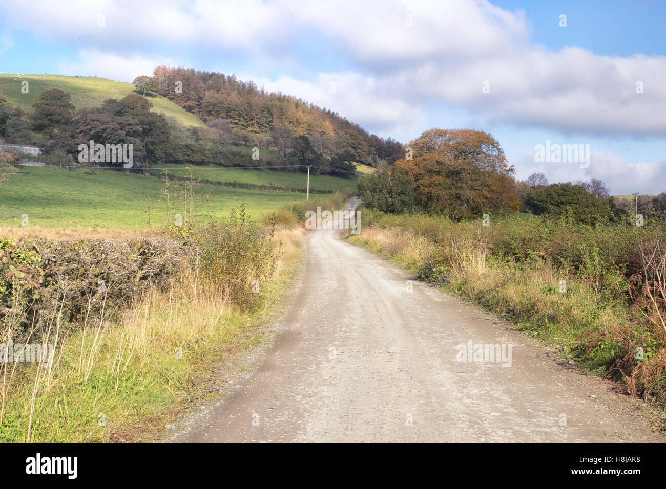 Leere Straße mit Felder auf beiden Seiten in Carmarthenshire, Wales, Vereinigtes Königreich Stockfoto