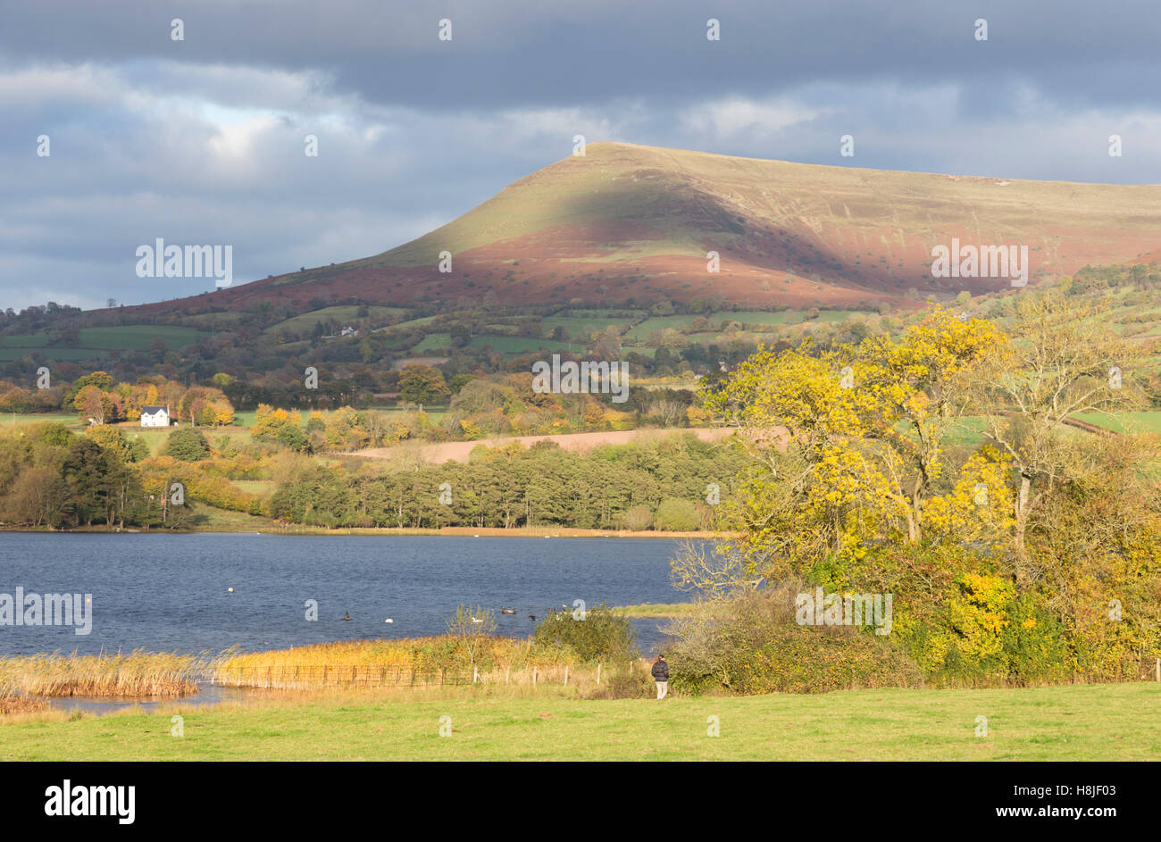 Llangorse See, 'Llyn Syfaddon' und Mynydd Llangorse Berg, Brecon Beacons National Park, Wales, UK Stockfoto