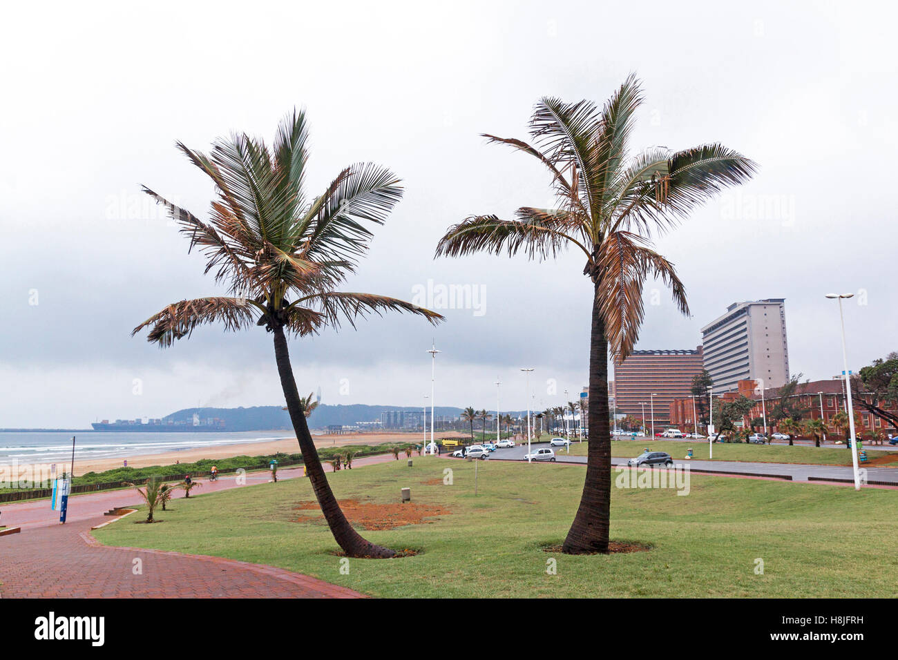 Nassen Backstein gepflasterte Wege zum Strand vorbei an Palmen an trüben regnerischen Tag am Strand in Durban, Südafrika Stockfoto