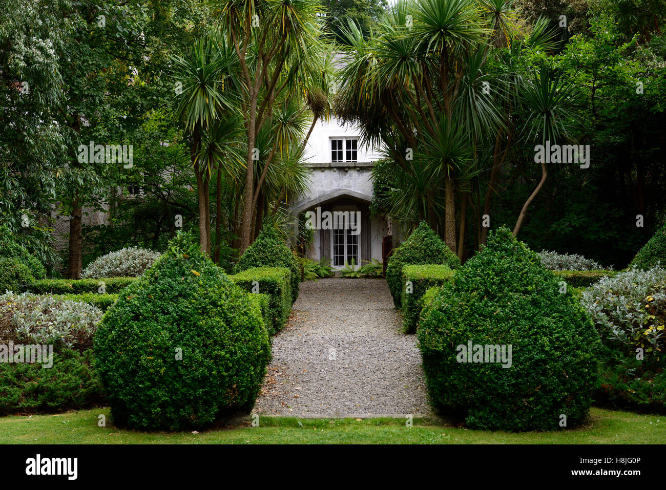 Box Hecke Formschnitt Parterre abgeschnittene ordentlich Hedge Garten zu entwerfen formale Corke Lodge Bray Wicklow Irland RM Floral Stockfoto