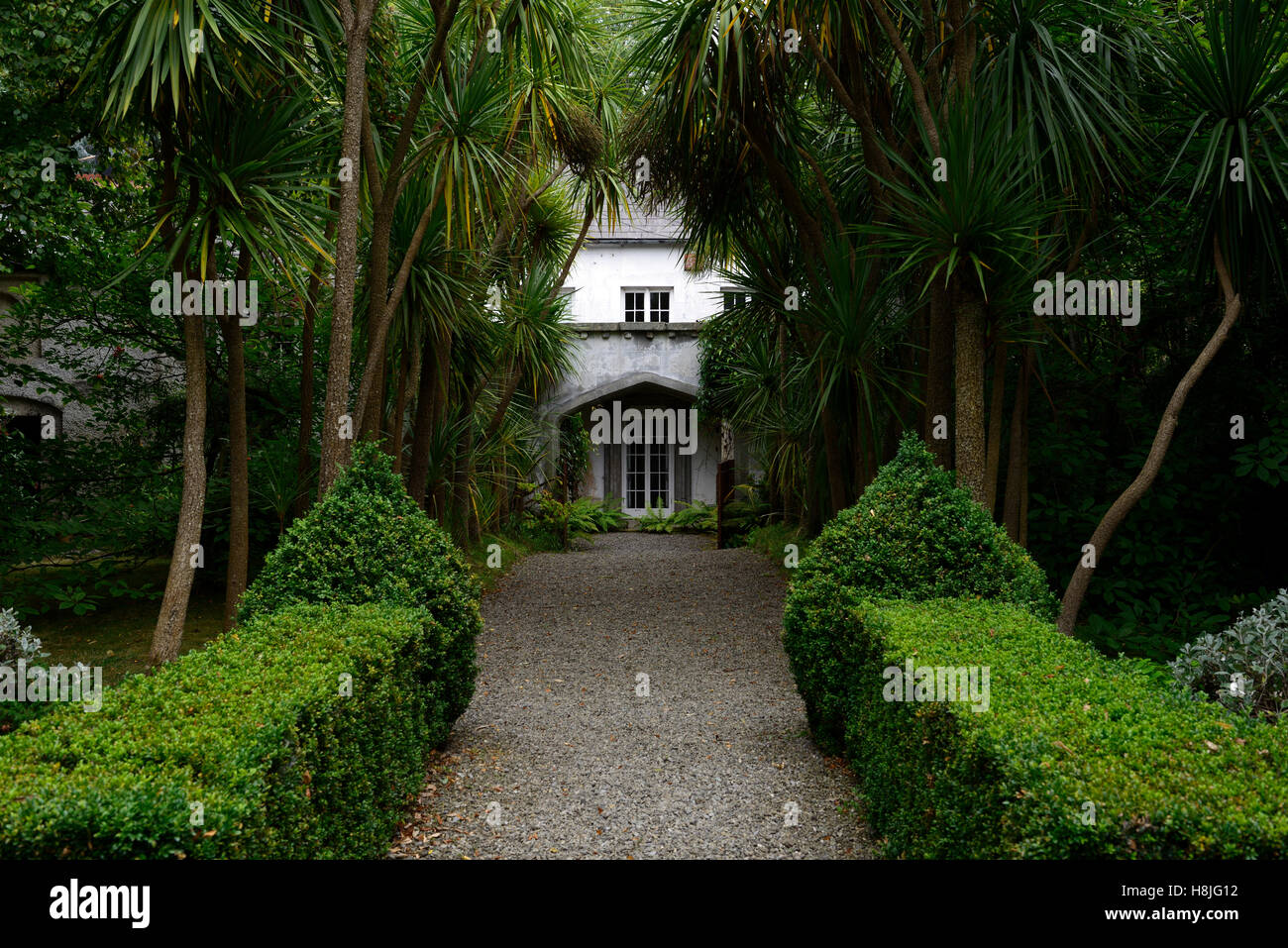 Box Hecke Formschnitt Parterre abgeschnittene ordentlich Hedge Garten zu entwerfen formale Corke Lodge Bray Wicklow Irland RM Floral Stockfoto