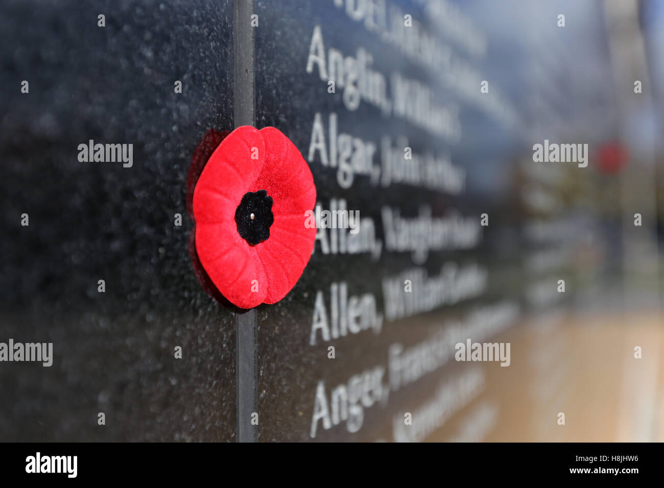 Mohnblumen sitzen Namen auf eine Mauer der Erinnerung während der Gedenktag in Kingston, Ontario, am 11. November 2016. Stockfoto