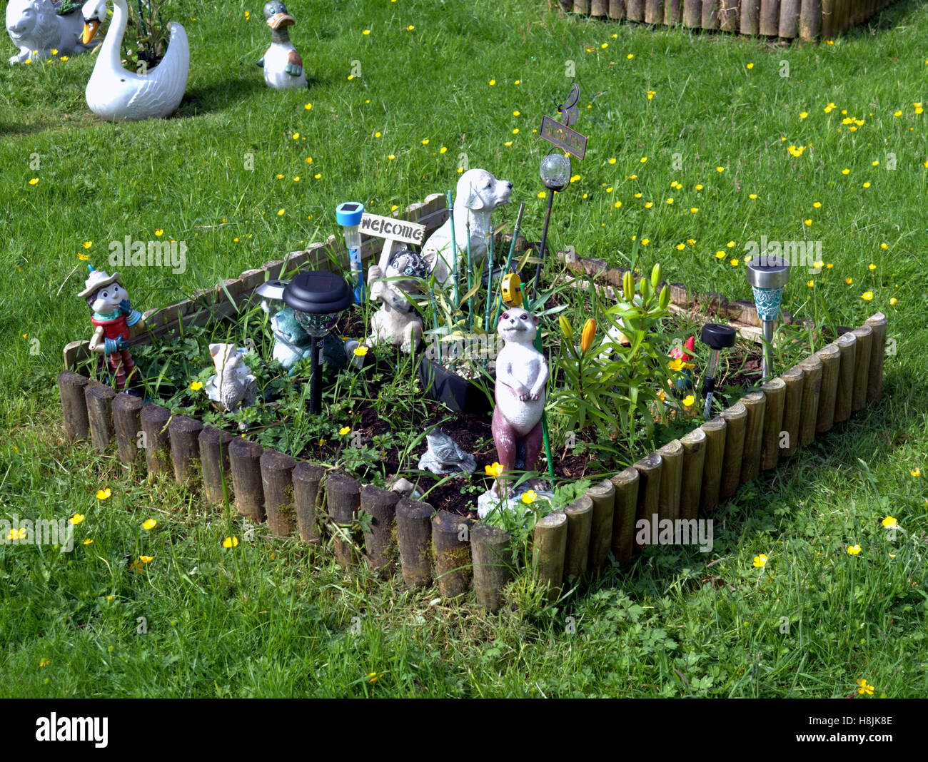 Rasen-Ornamente auf Rasen umgeben von hölzernen Kante Stockfoto