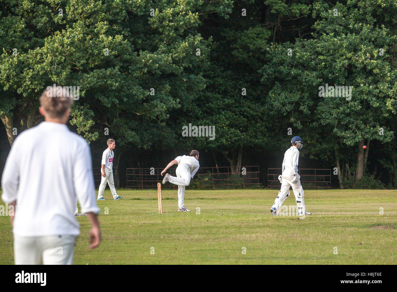 Cricket-Match am Landford. Stockfoto