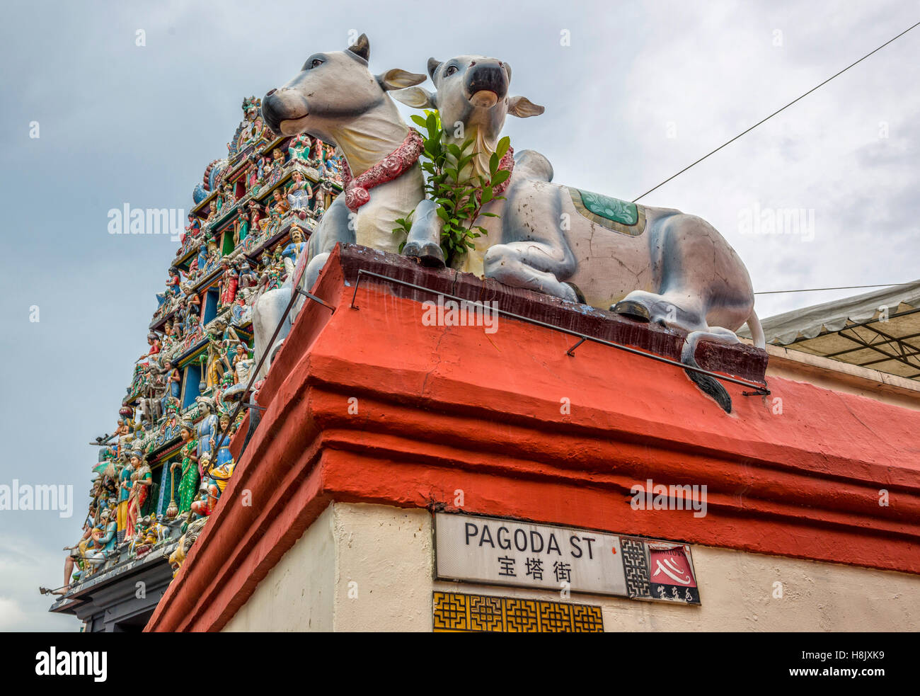 Sri Mariamman Hindu-Tempel mit zwei heilige Kühe, Pagoda Street, Singapur Stockfoto