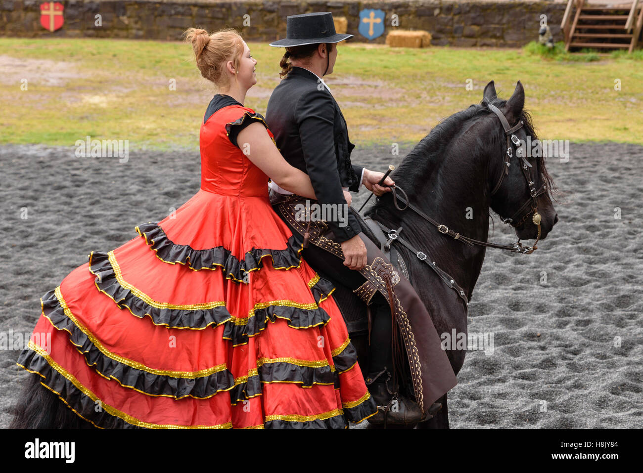 Barocke Pferdefest 2016 Stockfoto