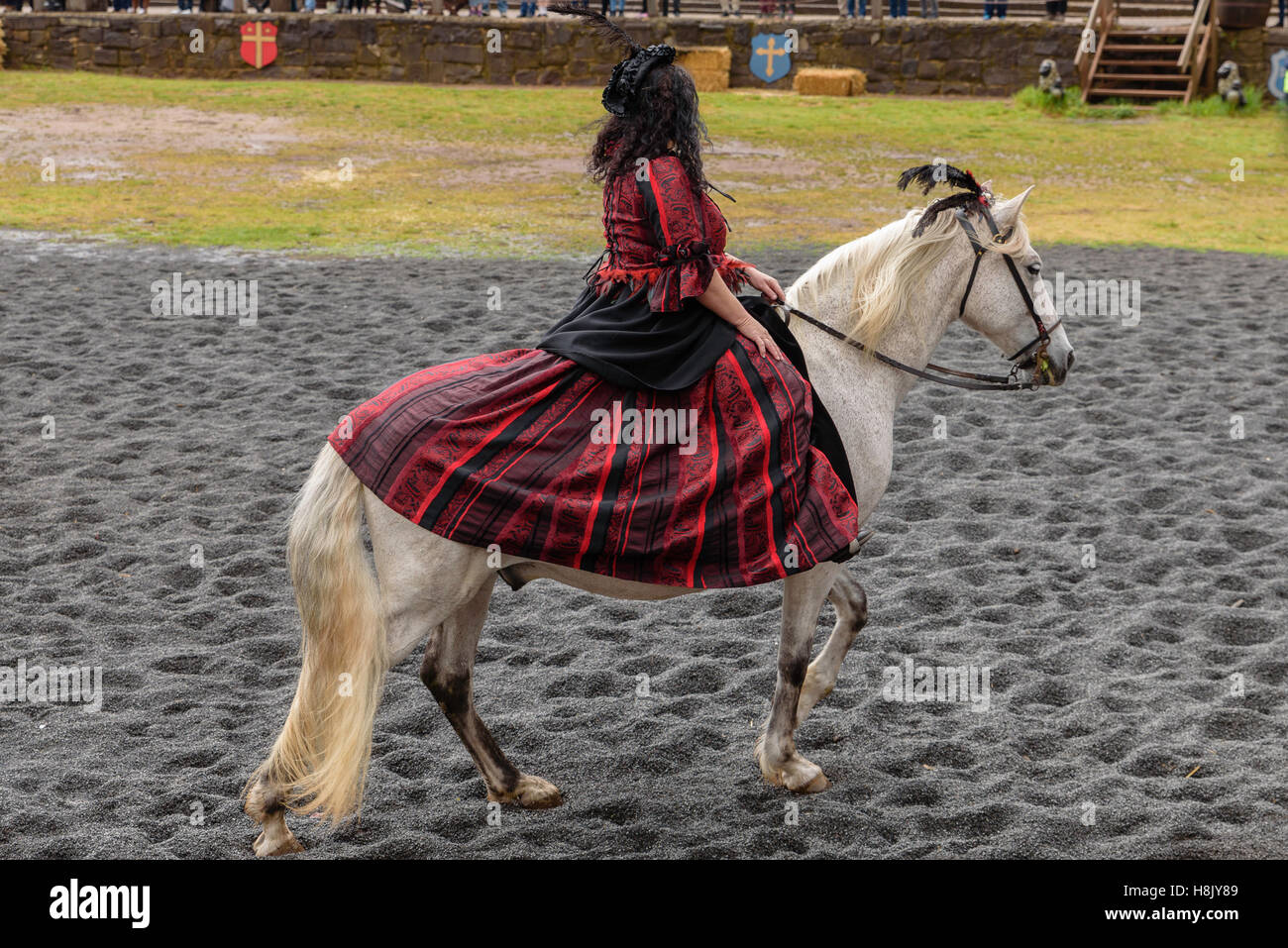 Barocke Pferdefest 2016 Stockfoto