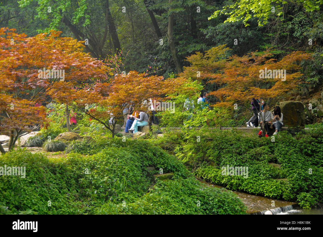 Gelände rund um Yuelu Academy, Changsha, China Stockfoto