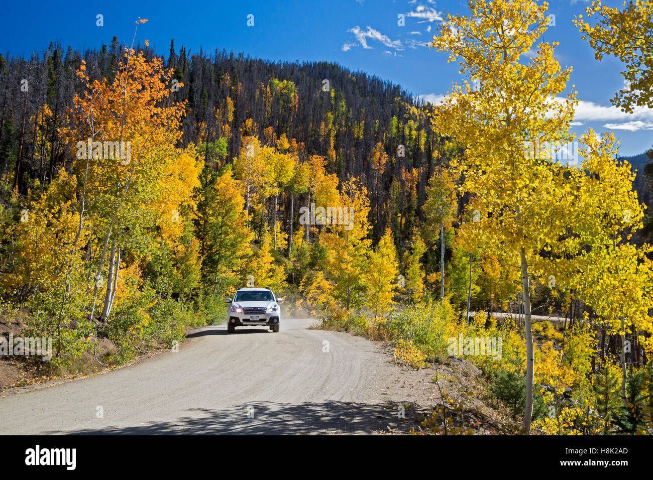 Tabernash, Colorado - Farben des Herbstes entlang einer unbefestigten Straße in den Rocky Mountains. Stockfoto