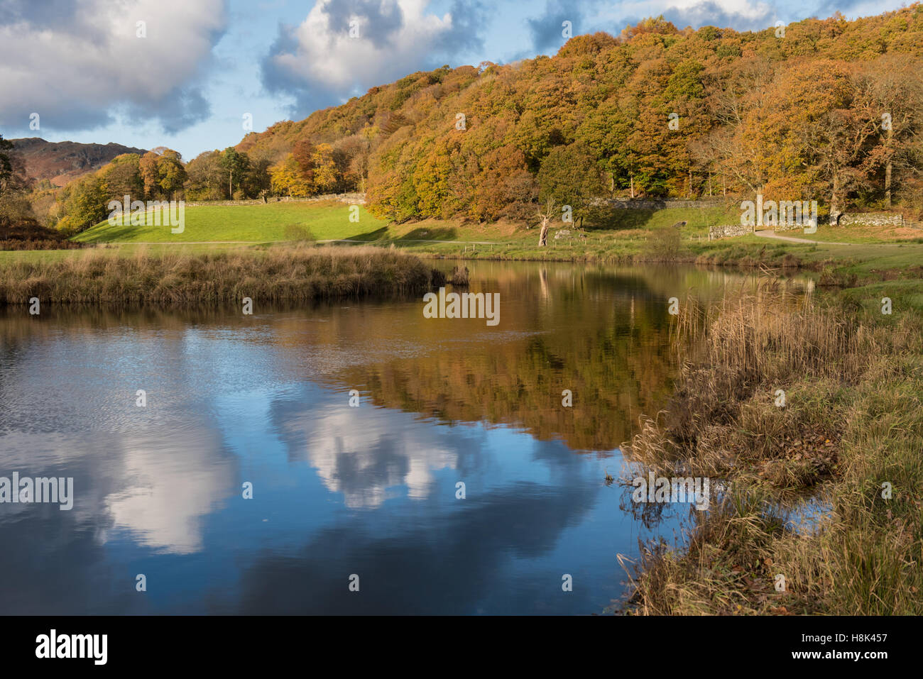 Herbst Reflexionen in den Fluß Brathay Cumbria Stockfoto