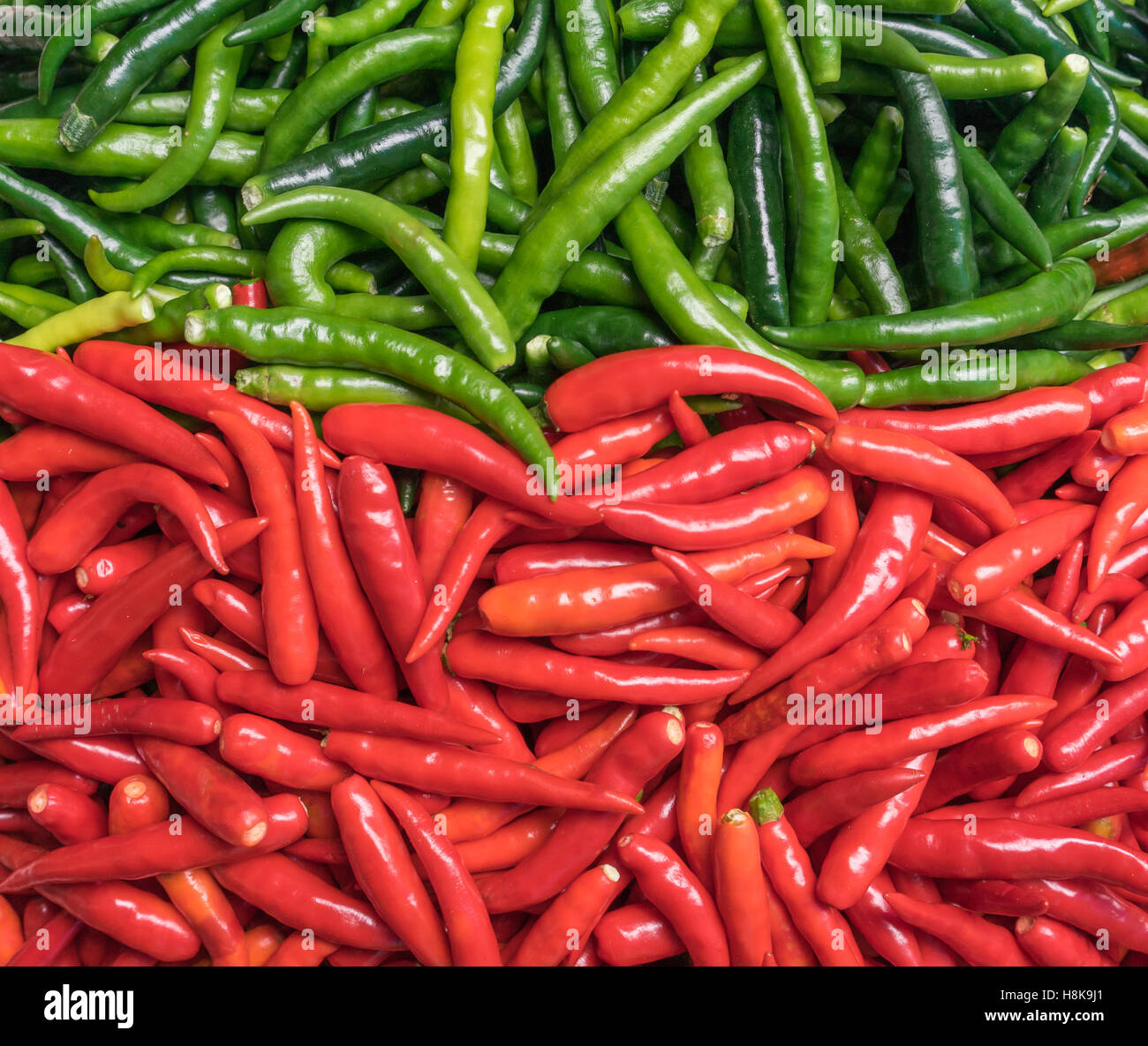 frische rote und grüne Chilischote Hintergrund Stockfoto